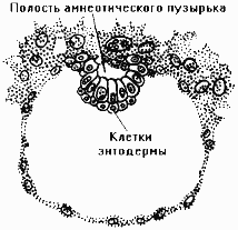 ������������� ������� - 5630 �