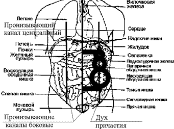 Положение духа причастия в теле